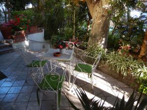 a table and chairs in a garden with a tree at Hotel Europa in Ischia
