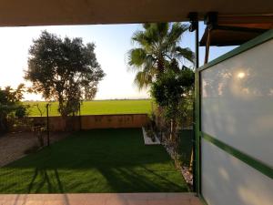 eine offene Tür zu einem Hof mit einer Palme in der Unterkunft apartamento con jardin privado cerca de la playa! in Amposta