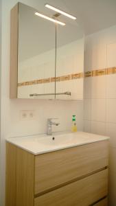 La salle de bains est pourvue d'un lavabo et d'un miroir. dans l'établissement Les 3 Bilobas, à Héron