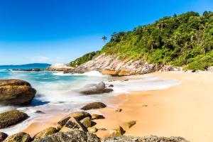 a beach with rocks and a palm tree at RECANTO NOVÍSSIMO em BC na Praia do Estaleiro in Balneário Camboriú