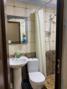 a bathroom with a toilet and a sink and a shower at LiViTi in Areni