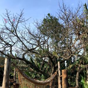 a tree with a hammock in front of a fence at Refúgio Horse in Santo Antônio do Pinhal