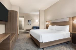 pokój hotelowy z łóżkiem i telewizorem w obiekcie Holiday Inn Express & Suites Greenville-Downtown, an IHG Hotel w mieście Greenville