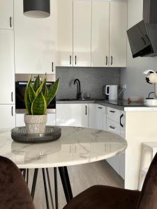 a kitchen with a table with a potted plant on it at Bell Tower Apartment in Plungė