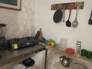 a kitchen with a counter with a stove and utensils at Cabaña El Tucan in Minca
