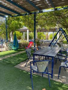 Gennadi Beach Apartments في غينادي: طاولة وكراسي للتنزه في الحديقة