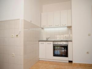 Kuchyň nebo kuchyňský kout v ubytování Apartments Vlade