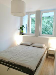 a bed in a room with two windows at Nowoczesny apartament w sercu Wrocławia in Wrocław