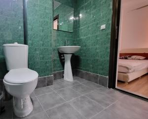 a bathroom with a toilet and a sink at Apartment N.1 in Nov Dojran +14 photos