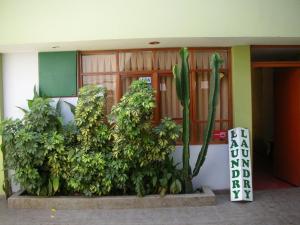 Gallery image of Waikycha Hostal in Arequipa