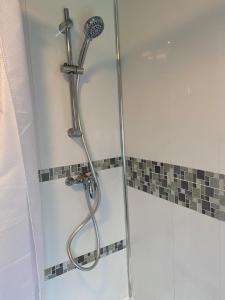 a shower with a shower head in a bathroom at Pendle House Apartment 1 in Colwyn Bay