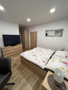 1 dormitorio con 1 cama y TV de pantalla plana en Apartmány U Jelena 1 en Český Krumlov