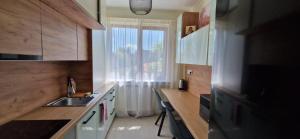 Elle comprend une petite cuisine avec un évier et une fenêtre. dans l'établissement University Apartment, à Baia Mare