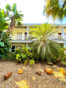 A garden outside Delphin Beach Hotel