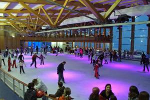 un grupo de personas patinando en una pista de hielo en Appartement 2 chambres vue pistes, parking privatif, en Les Orres