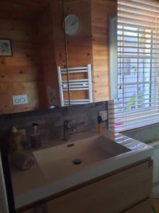 uma casa de banho com um lavatório, um espelho e uma janela em Gîte le Quesnoy em Martimont