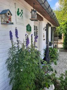 ein Haus mit lila Blumen vor einem Gebäude in der Unterkunft Gîte le Quesnoy in Martimont