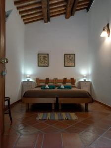 een slaapkamer met een bed in een kamer bij azienda agrituristica la torretta in Tocco da Casauria