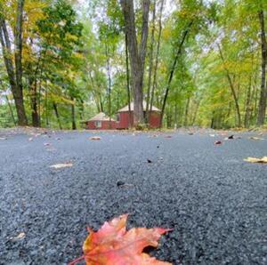 une feuille rouge posée au sol sur une route dans l'établissement neversink river resort, 