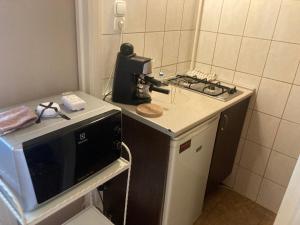 Kuchyňa alebo kuchynka v ubytovaní Roland Apartment Downtown - Pozsonyi