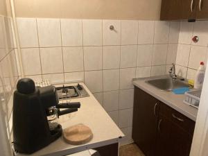 Kuchyňa alebo kuchynka v ubytovaní Roland Apartment Downtown - Pozsonyi