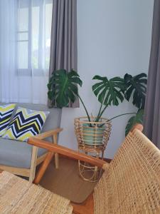 uma sala de estar com uma mesa com um vaso de plantas em Sleep private khaoyai em Mu Si