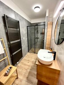 uma casa de banho com um lavatório e um chuveiro em Apartmán Elen em Nové Město nad Metují