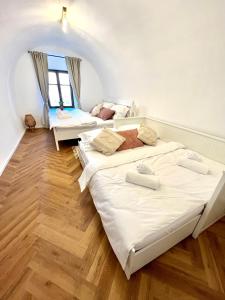 um quarto com 2 camas e um espelho em Apartmán Elen em Nové Město nad Metují