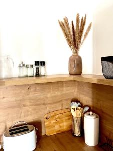 a kitchen counter with a wooden shelf with a toaster at Apartmán Elen in Nové Město nad Metují