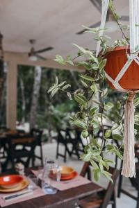 Un restaurant u otro lugar para comer en Lunita Jungle Experience