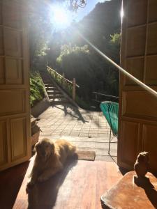 Φωτογραφία από το άλμπουμ του Acogedora cabaña en el bosque, Via La Calera σε La Calera