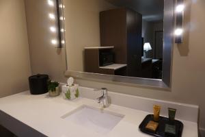 a bathroom with a sink and a mirror at Crescent Bay Inn in Laguna Beach