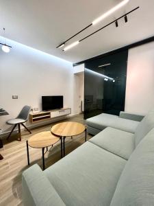 ein Wohnzimmer mit 2 Sofas und einem TV in der Unterkunft Deluxe apartment bllok in Tirana