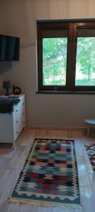 a room with a rug on the floor and two windows at Domek Zielenina in Mierzeszyn