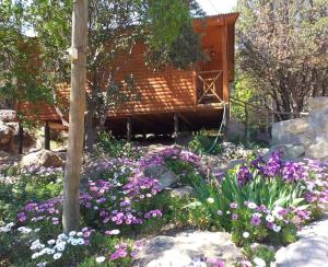 um jardim com flores em frente a uma cabana em Cabañas Lomas del Manzano em San José de Maipo