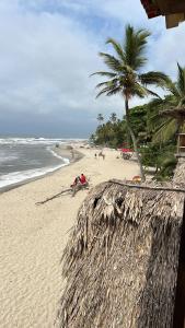 a beach with a palm tree and the ocean at Palm Beach Hostal in Santa Marta