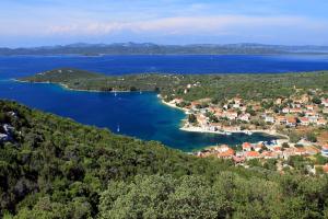una vista aérea de una pequeña isla en un lago en Rooms by the sea Luka, Dugi otok - 8132, en Žman