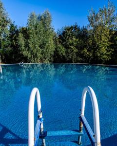 basen z dwoma białymi szynami w wodzie w obiekcie Posada Arco Iris w mieście San Marcos Sierra