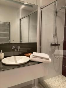 La salle de bains est pourvue d'un lavabo et d'une douche. dans l'établissement Chambre Is, à Is-sur-Tille