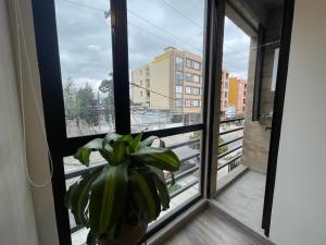 una maceta sentada frente a una ventana en St. Louis Suites - Movistar Arena, en Bogotá