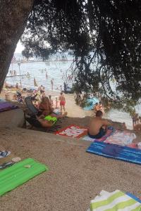 Fotografie z fotogalerie ubytování Apartments with a parking space Sveti Filip i Jakov, Biograd - 14706 v destinaci Sveti Filip i Jakov