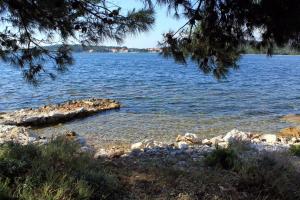 a large body of water with a log in the water at Apartments by the sea Veli Rat, Dugi otok - 438 in Veli Rat