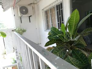 Μπαλκόνι ή βεράντα στο Apartaestudio Dacami