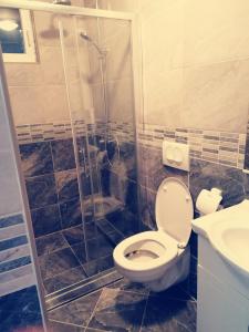 ein Bad mit einem WC und einer Dusche in der Unterkunft Dubrovnik Sun Apartment in Dubrovnik