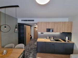 Kuchyň nebo kuchyňský kout v ubytování Akvamarín Bešeňová apartmán