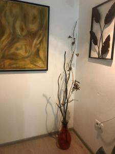 Fotografija u galeriji objekta Apartments OldTown u gradu Podgorica