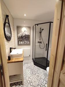 een badkamer met een douche, een wastafel en een toilet bij Przystanek Śnieżka in Kowary