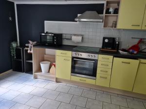 Kjøkken eller kjøkkenkrok på Haus Steindöbra