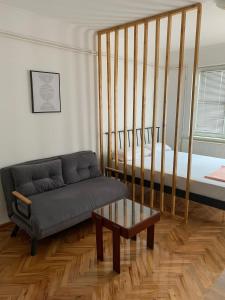 a living room with a couch and a bed at Comfy Studio - 1 minute walk to Delta Planet in Niš