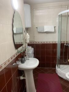 a bathroom with a sink and a mirror and a shower at Comfy Studio - 1 minute walk to Delta Planet in Niš